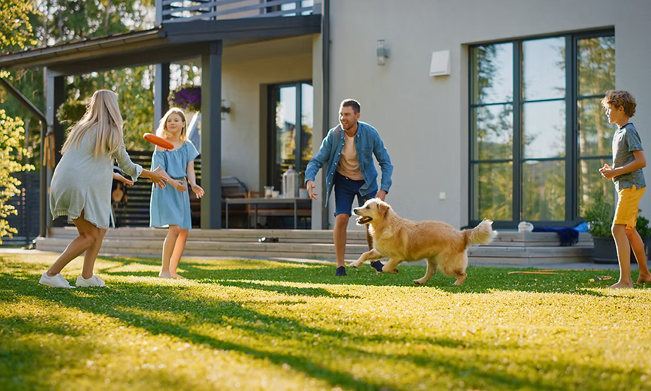 Residential Pest Control in Seguin Texas