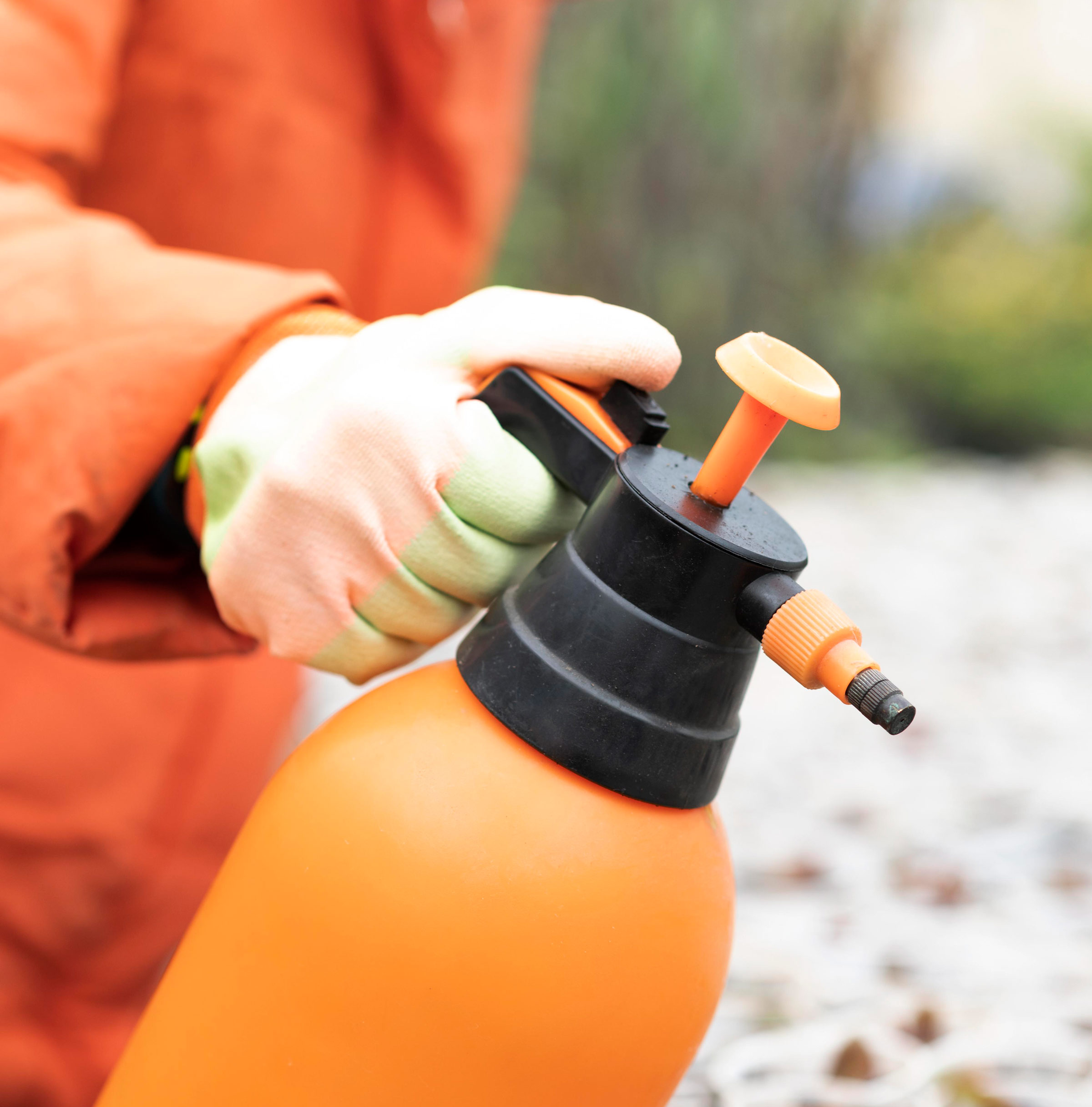 Exterminator in Bulverde TX