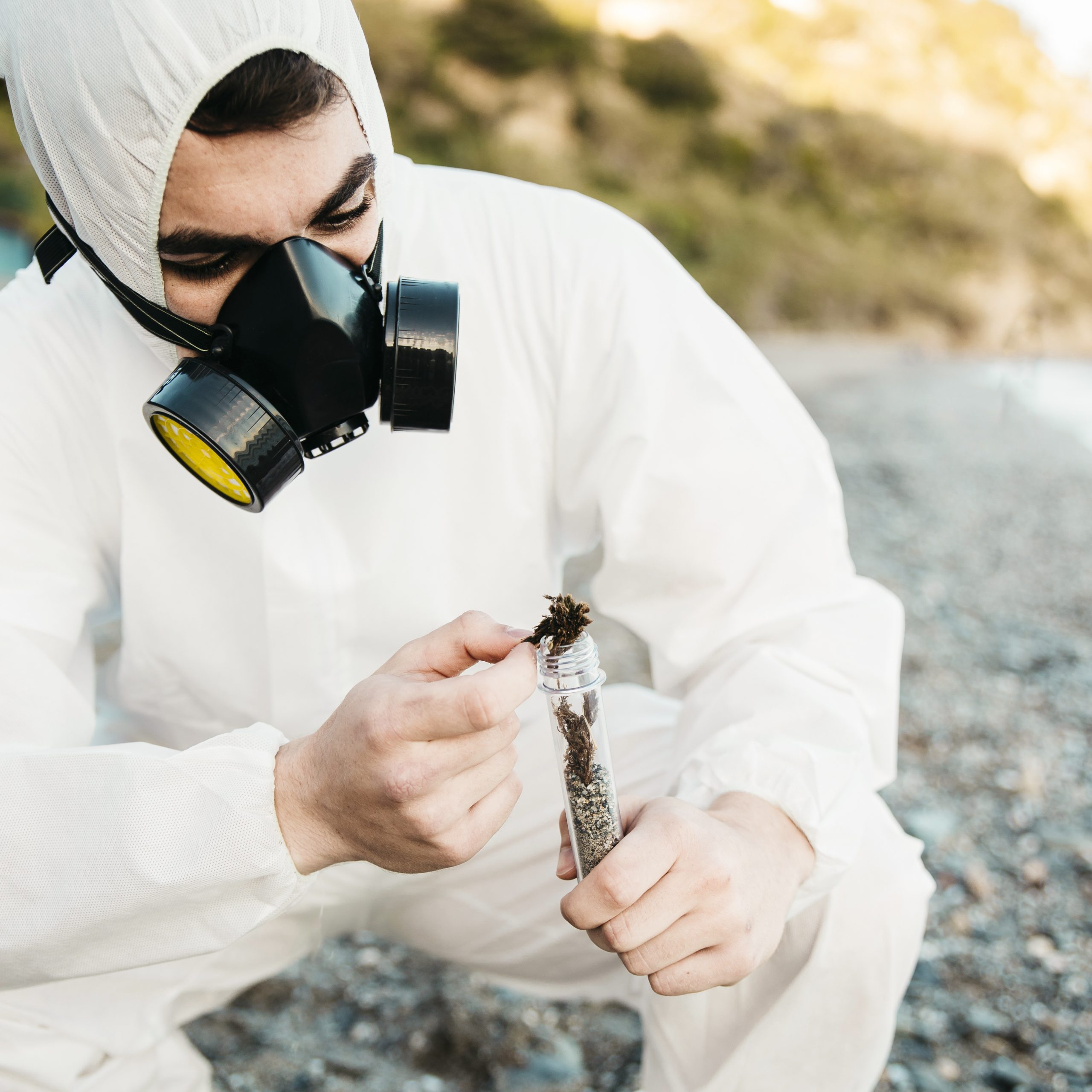 termite control San Antonio TX